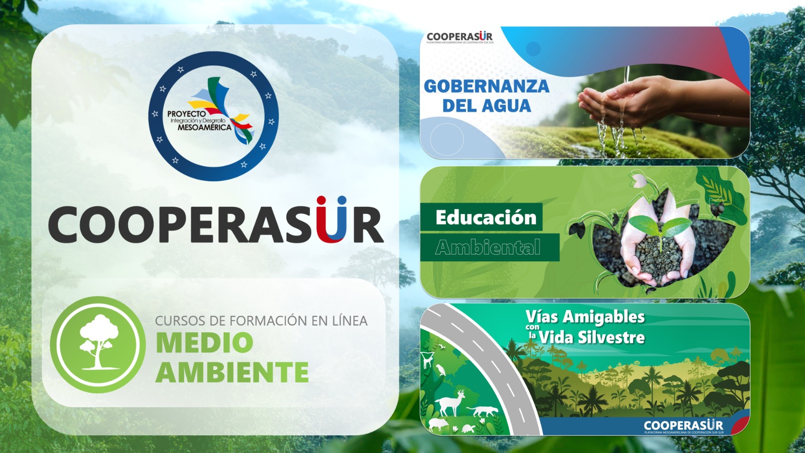 Imagen Noticia 3