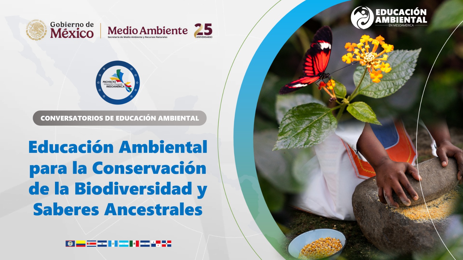 Miniatura del webinario