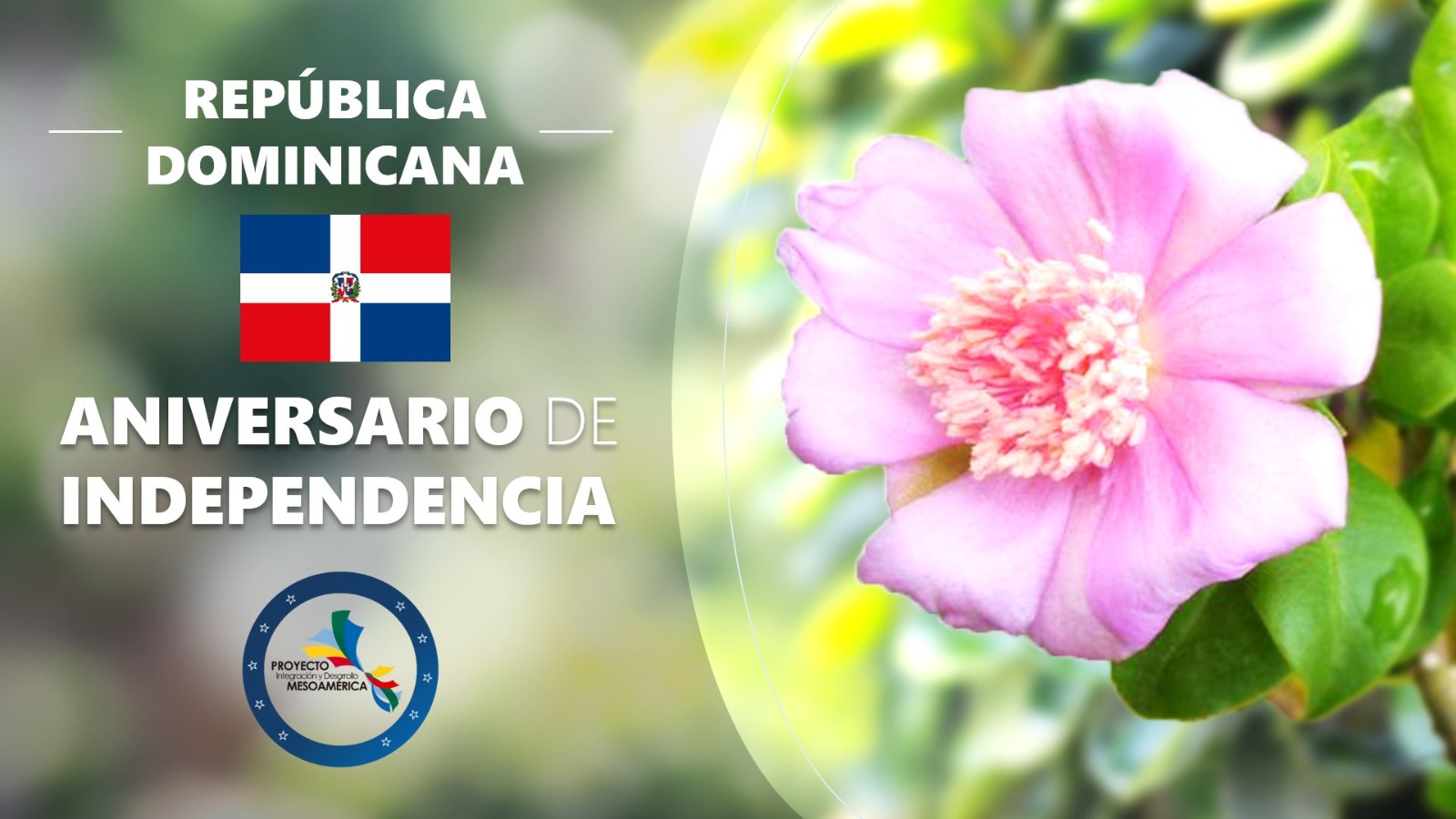 Imagen Noticia 1