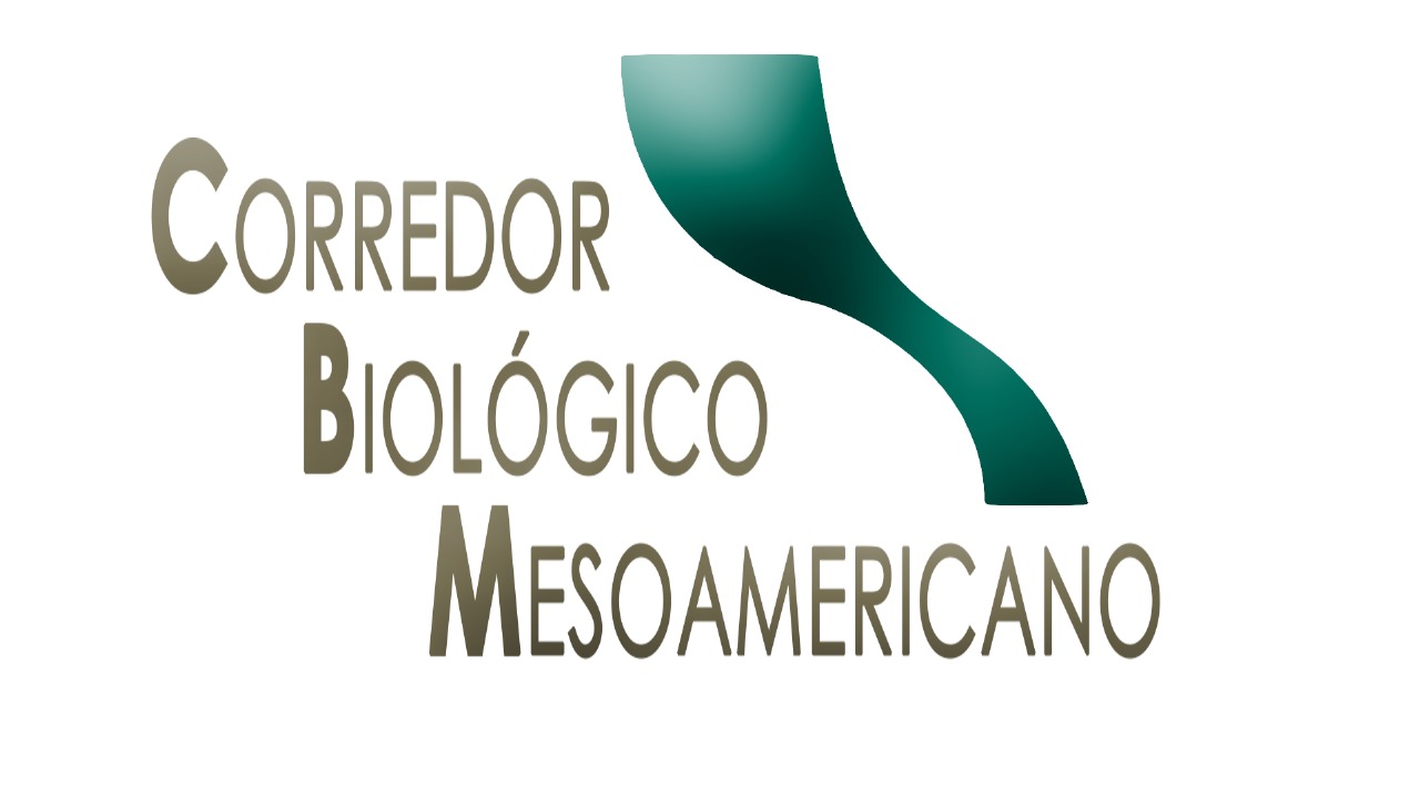 CBM Logo